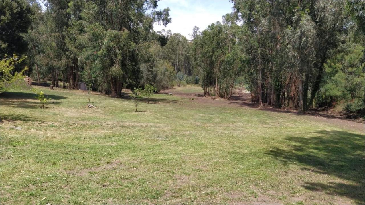 El Bosque De Las Animas Villa Тандил Екстериор снимка
